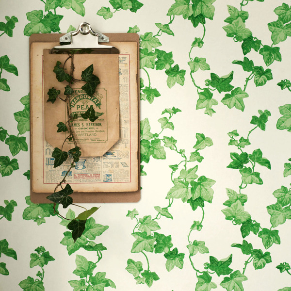 Hedera Green Wallpaper by Sanderson